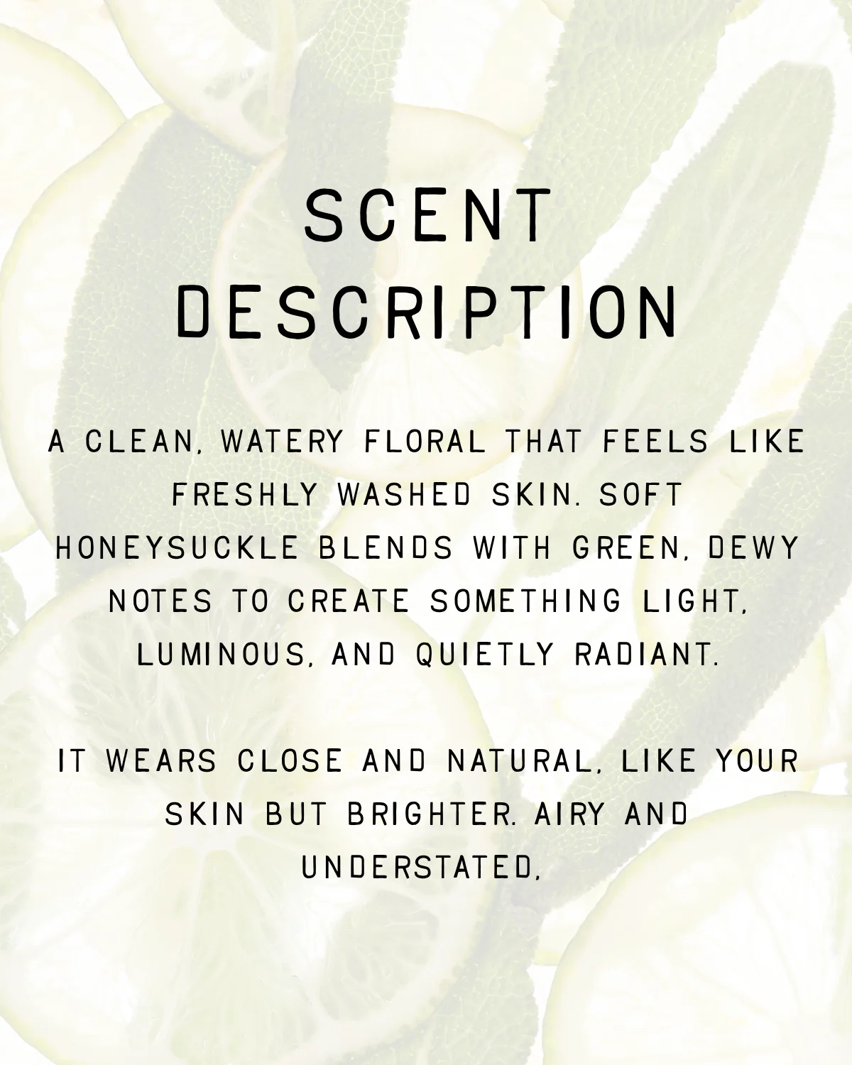 Bare Fragrance - Image 4