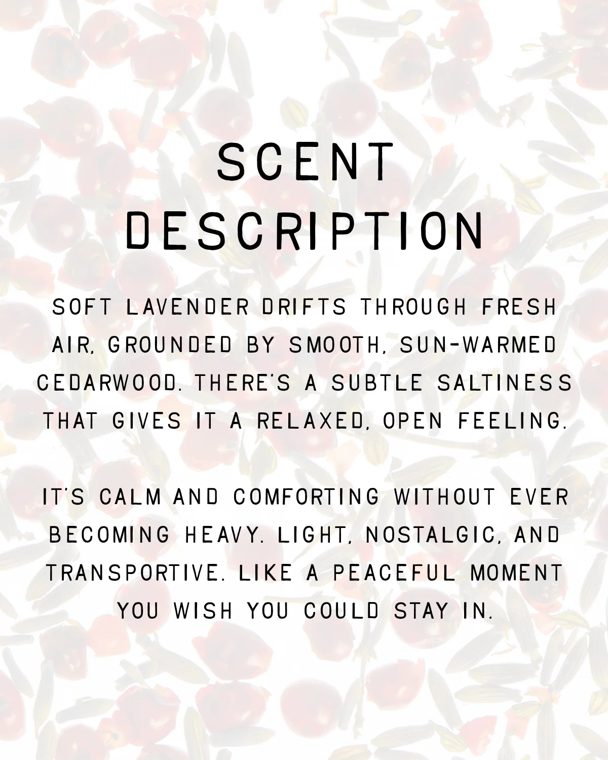 Lavender & Cedar Fragrance - Image 4