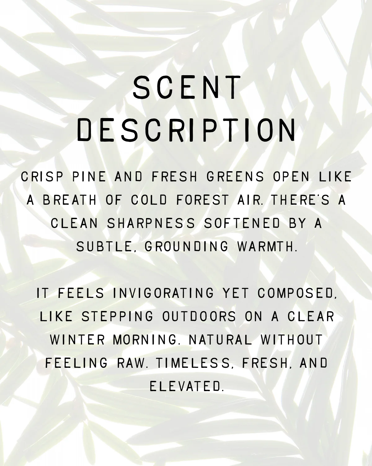Noble Fragrance - Image 4
