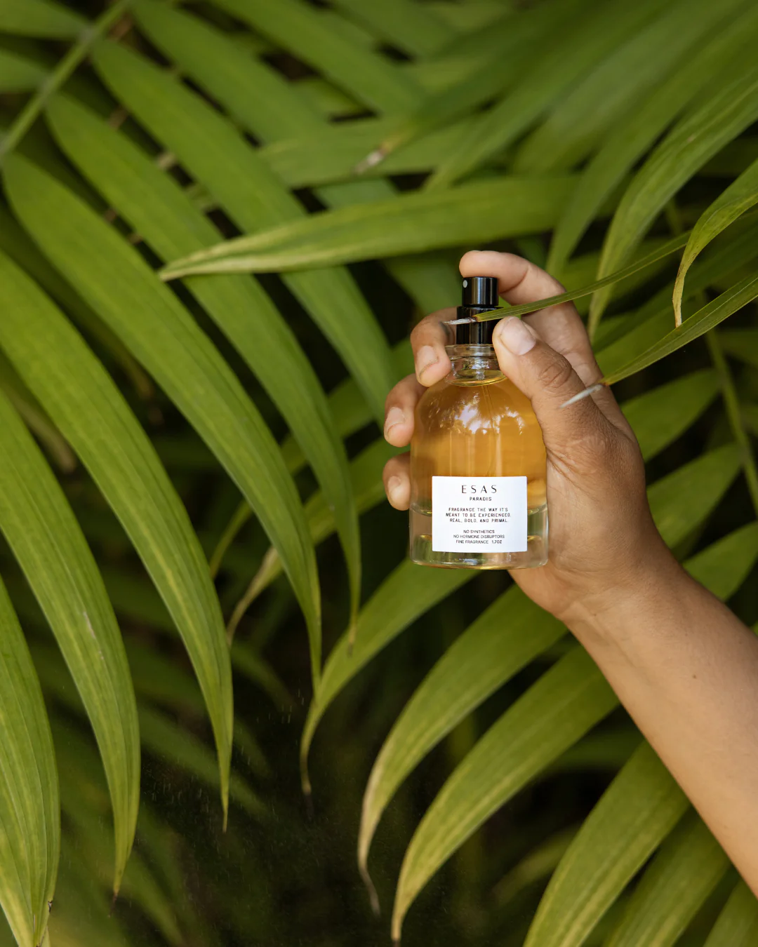 Paradis Fragrance - Image 14