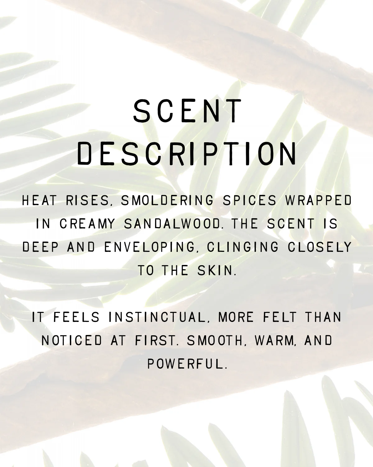 Primal Fragrance - Image 4