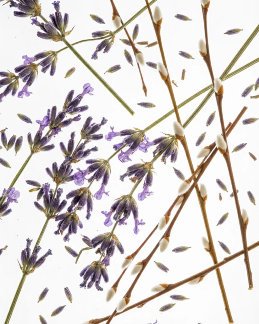 Lavender & Willow Candle - Image 2